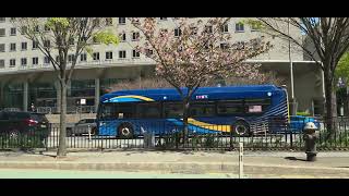 MTA bus company: 2024 New Flyer XD40 #9339 on the Q60 bus at Queens Blvd Hoover Av