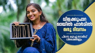 രണ്ടു പവൻറെ ഡെയിലി വെയർ ലൈറ്റ് വെയിറ്റ് ഗോൾഡൻ ചെയിൻസ് | Pereppadans Gold Park