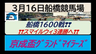 【競馬予想】SⅡ京成盃グランドマイラーズ　連勝伸ばすかスマイルウィ！～２０２３年３月１６日 船橋競馬場 ：３－２３