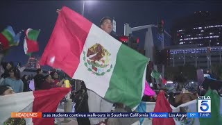 Column: Why waving the Mexican flag at immigration rallies isn’t wrong