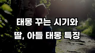 뱀 복숭아 물고기 호랑이 등 종류별 태몽 꿈 해석과 꾸는 시기