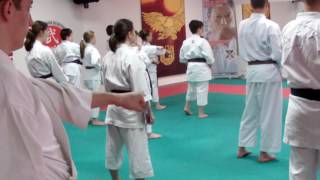 Sensei Hiroshi Shirai 10 Dan in Skopje Macedonia - Dejan Nedev kata enpi