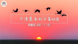 《清晨妥拉》第41週 (七) | 民數記 28：1-10 | 國度禾場事工 Kingdom Harvest Ministries One Church