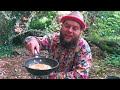 how to find identify u0026 eat chicken of the woods 🍄