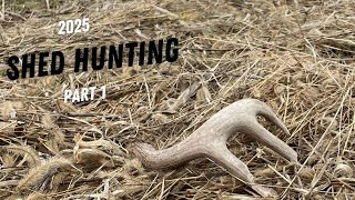 Shed Hunting 2025: Part 1 Sheds and Deadheads! RIP To The Big 6!