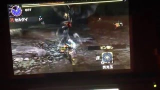 【ＭＨＸ】太古を照らす、白銀の太陽　弓ソロ13”26”86(捕獲)【獰猛化リオレウス希少種】