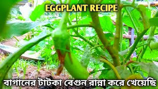 বাগানের তাজা বেগুন রান্না|eggplant recipe|eggplant