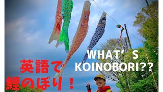 鯉のぼりを英語で説明してみた！Let’s talk about Japan in English! “Koinobori”, Carp Windsock.