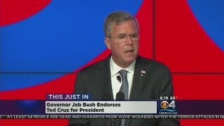 Jeb Bush Endorses Sen. Ted Cruz