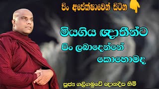 මියගිය ඥාතීන්ට පිං ලැබෙන නිවැරදි ක්‍රමය| Ven.Galigamuwe Gnanadeepa thero  #අමාදම්සර