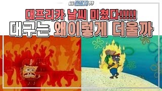 미친 날씨 대프리카! 대구는 왜 더운 것일까?(분지 지형, 푄 현상, 도시 열섬 현상)