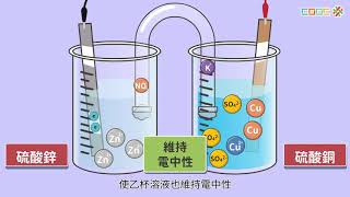 108新課綱｜九下理化｜【觀念】伏打電池與鋅銅電池的介紹