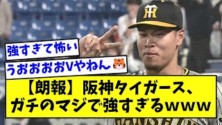 【朗報】阪神タイガース、ガチのマジで強すぎるｗｗｗｗｗｗ【なんJ反応】