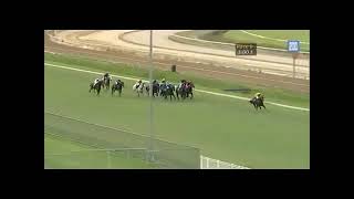 Freak horse racing performance: Marasco bounces off running rail