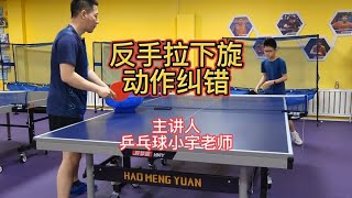 乒乓球技巧详解，反手拉下旋动作纠错，快速成长大神【乒乓球小宇老师】