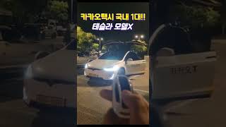 카카오택시 미쳤네...국내1대 테슬라 모델x 클라쓰