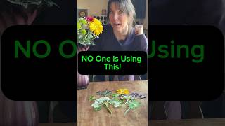 How to Get PERFECTLY Dried Flowers FAST