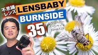 二番絞りレンズで写真が味わい深く！Lensbaby Burnside 35（レンズベビー バーンサイド）周辺減光の効果と渦巻きボケを楽しめる 35mm F2.8 単焦点