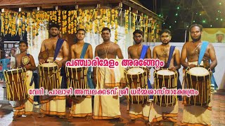 Panchari Melam Arangettam l പഞ്ചാരിമേളം അരങ്ങേറ്റം l Kodakara Unni l കൊടകര ഉണ്ണി l Puthukkad l