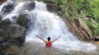 Manneera WaterFalls / Konni Eco Tourism , Pathanamthitta