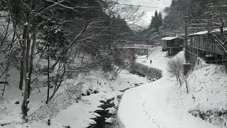 令和３年元旦高野山極楽橋雪模様