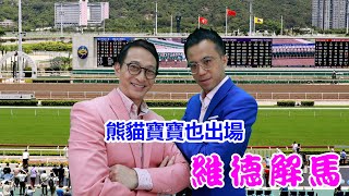 維德解馬 第388集  熊貓寶寶也出場