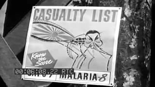 Malaria \u0026 Mosquito Control, Munda, New Georgia Island; Troops Invade Licata Sicily, July 1943 (full)