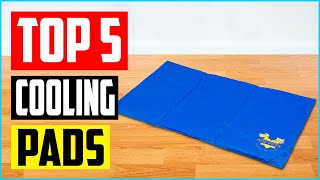 Top 5 Best Cooling Pads for Dogs of 2023 Review