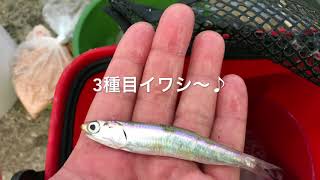 fishingmax武庫川店  鳴尾浜海釣り公園