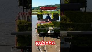 Kubota NW8S GS 田植え機　田植え作業