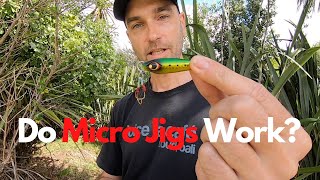 Fishing with MICRO JIGS vs SOFT BAITS - are they effective?