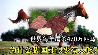 马肉什么味？世界每年屠杀470万匹马，为什么我国很少有人吃马肉