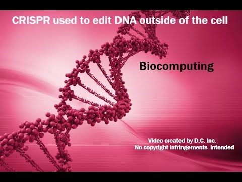 Biocomputing Youtube