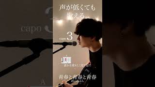 【声が低くても歌える】青春と青春と青春 / あいみょん cover   自分に合ったキーで気持ちよく歌おう🎤　capo3 #shorts #弾き語り #cover #あいみょん