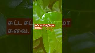 உன் முயற்சியே வெற்றி Tamil, Tamil Proverb, Pazhamozhi, #Shorts #Viral