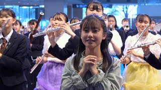 大成女子高校 吹奏楽部 「ドレミソラシド / 初心LOVE」第24回全日本高等学校吹奏楽大会