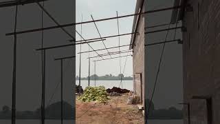 A newly built tobacco barn  ||#పొగాకు బ్యారిని ||పచ్చాకు షార్ట్స్ ||#agriculturefarming