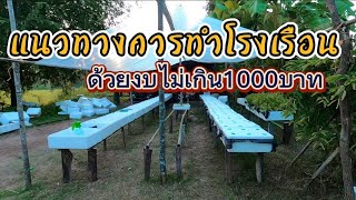 แนวทางการทำโรงเรือนปลูกผักราคาประหยัด