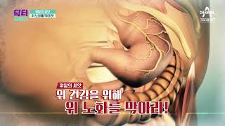 [예고] 소화불량 그냥 넘기면 위암으로 돌아온다?! 위 노화를 막는 건강 비결 | 채널A 닥터지바고 278회