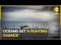 UN adopts first ‘historic’ treaty to protect high seas | WION Climate Tracker | Latest World News