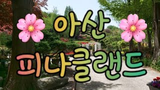 [헬로박반장] 아산 피나클랜드로 봄꽃구경 가요 Vlog