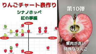 りんごチャート表作り第10弾！果肉の赤さがすごい「紅の夢」と甘さ評価10の「シナノホッペ」