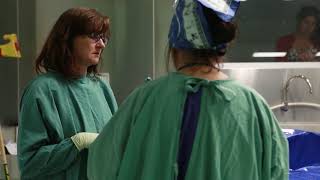 IN FOCUS: Mortuary operations and a virtual mortuary tour at the VIFM.