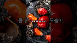 피를 흘리는 돌