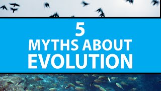 5 Common Myths About Evolution | Mashable