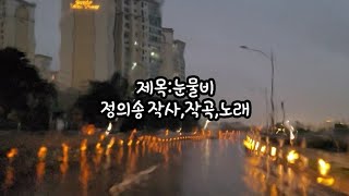 [정의송 TV - 정의송:눈물비] (정의송 작사,작곡)  원곡 가수:은정