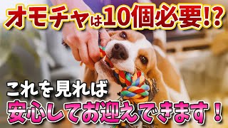 【犬の豆知識】オモチャは10個必要！？これを見れば安心してお迎えできます！