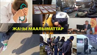 Жаңы маалыматтар: Жолдо заара кылган айдоочу канча сом айып төлөйт?