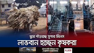 লক্ষ্যমাত্রা অর্জনে ঘুরে দাঁড়াচ্ছে জিল বাংলা সুগার মিলস | Jamalpur Suger Mil | Jamuna TV