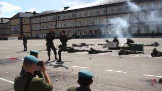 Показательное выступление ВДВ. Рязань. 26 июля 2014